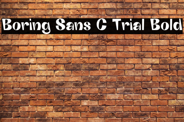 Boring Sans C Trial Bold Example 3