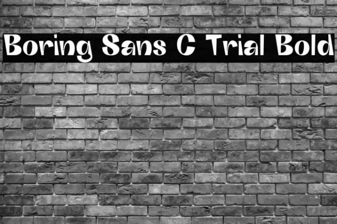 Boring Sans C Trial Bold Font examples
