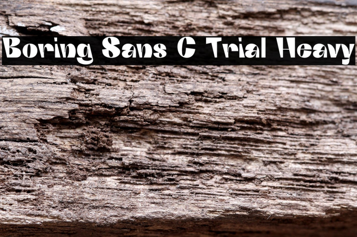 Boring Sans C Trial Heavy Example 3