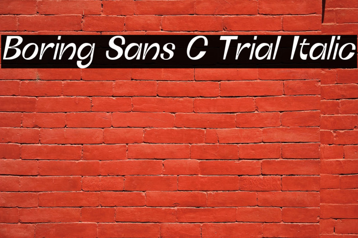 Boring Sans C Trial Italic Example 1