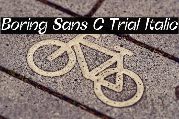 Boring Sans C Trial Italic Example 2