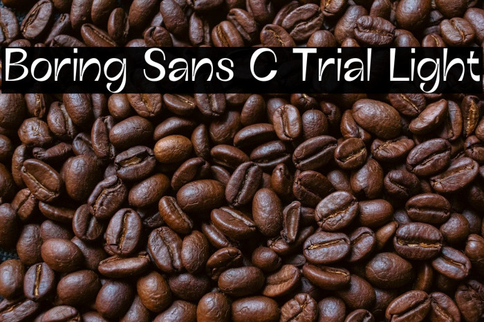 Boring Sans C Trial Light Example 1