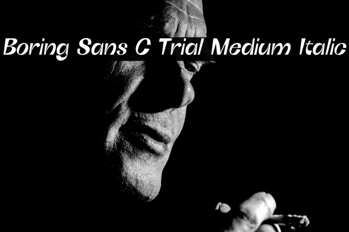 Boring Sans C Trial Medium Italic Example 1