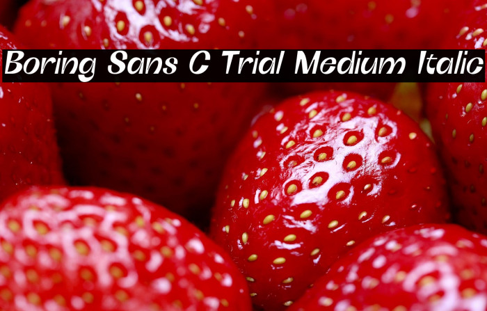 Boring Sans C Trial Medium Italic Example 3