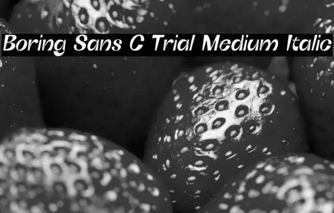 Boring Sans C Trial Medium Italic Font examples