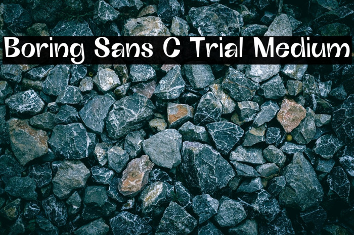 Boring Sans C Trial Medium Example 3