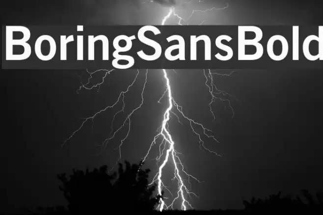 BoringSansBold Font examples