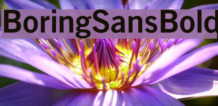 BoringSansBold Font examples