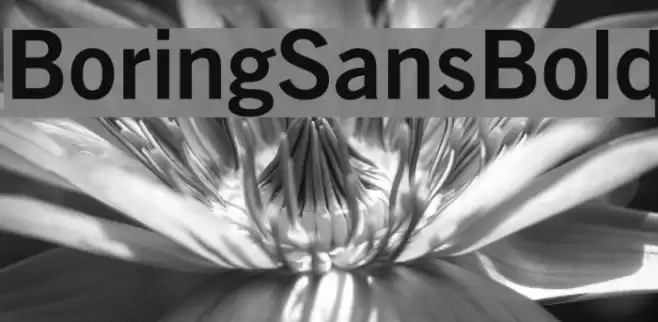 BoringSansBold Font examples