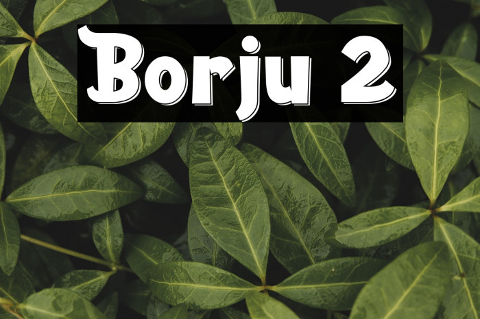 Borju 2 Example 1