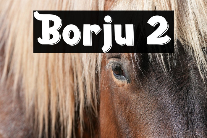 Borju 2 Example 2