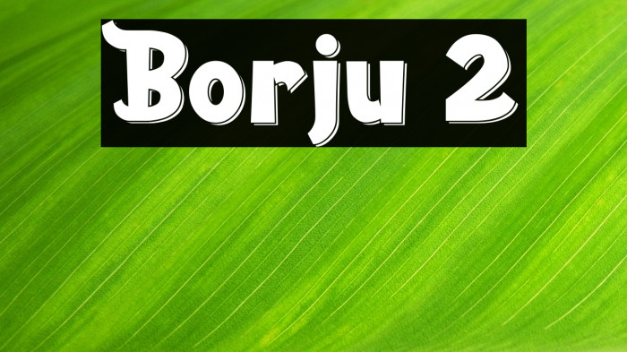 Borju 2 Example 3