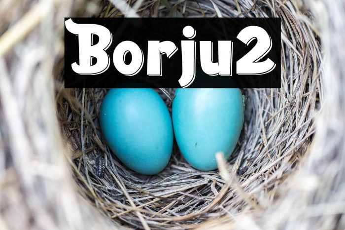 Borju2 Example 2
