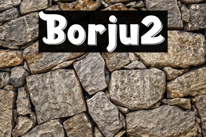 Borju2 Example 3