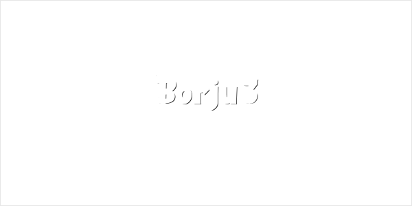 Borju3 Logo
