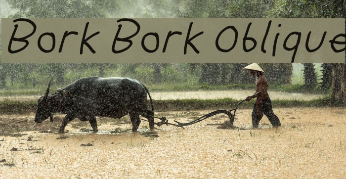 Bork Bork Oblique Font examples