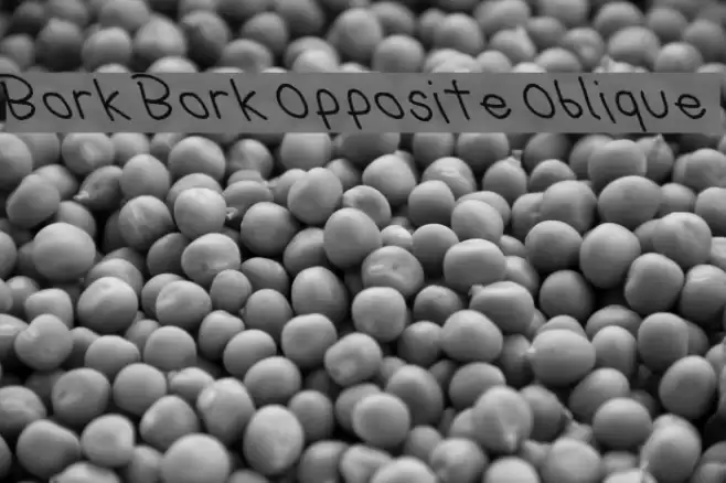 Bork Bork Opposite Oblique Polices examples
