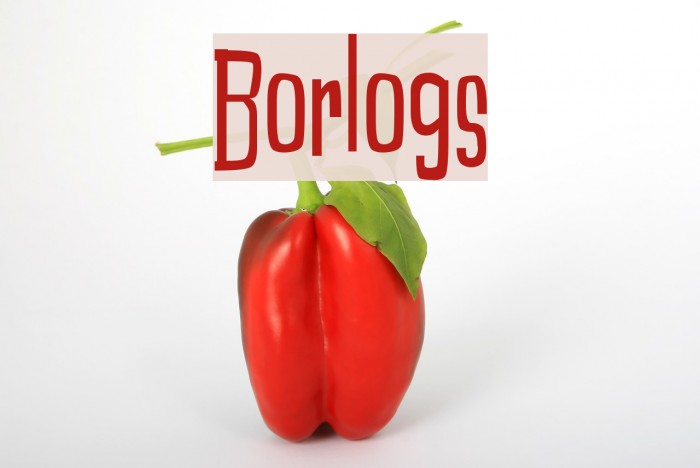 Borlogs Example 1