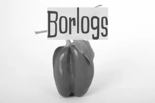Borlogs Font examples