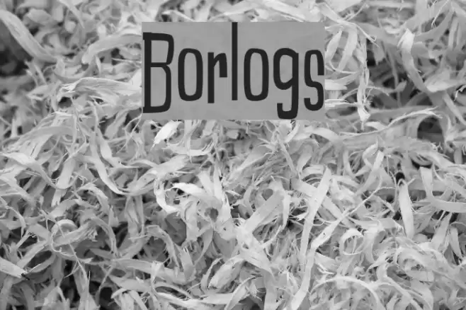 Borlogs Font examples