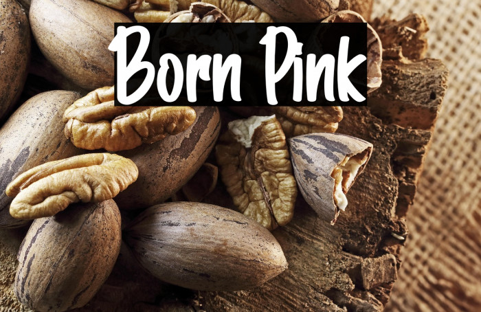 Born Pink Example 2