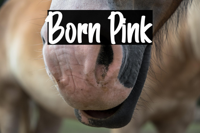 Born Pink Example 3