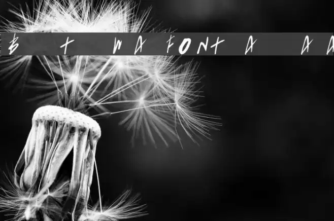 Born This Way FONT [lady gaga] Example 2