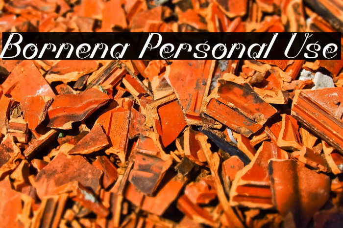 Bornena Personal Use Example 1