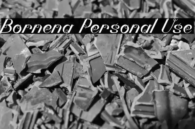 Bornena Personal Use Font examples