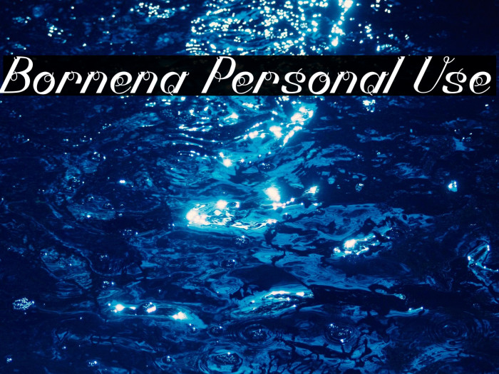 Bornena Personal Use Example 3