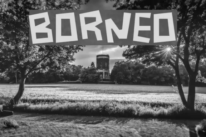 Borneo Font examples