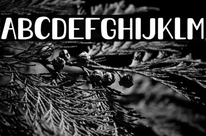 Bornywale Font examples