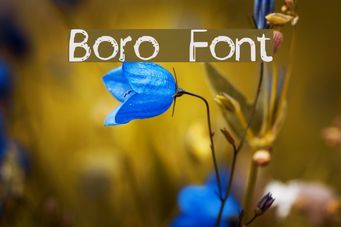 Boro Font examples