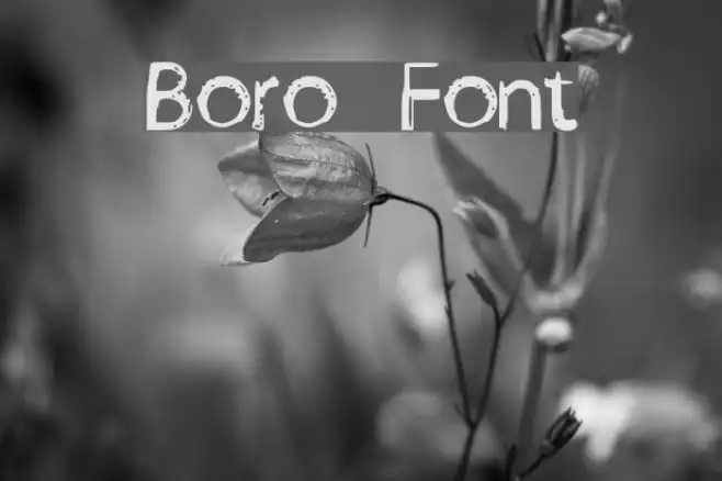 Boro Example 1