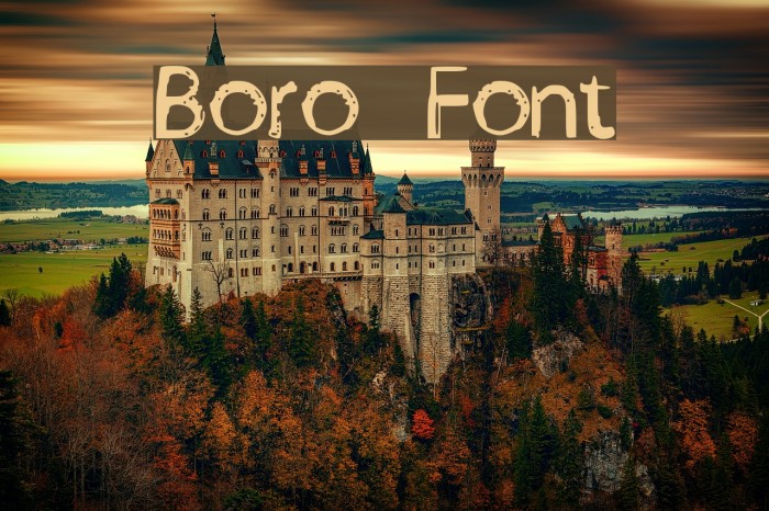 Boro Font examples