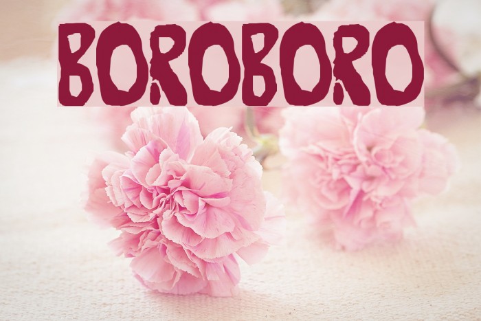 Boroboro Font examples
