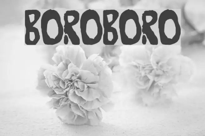 Boroboro Example 1