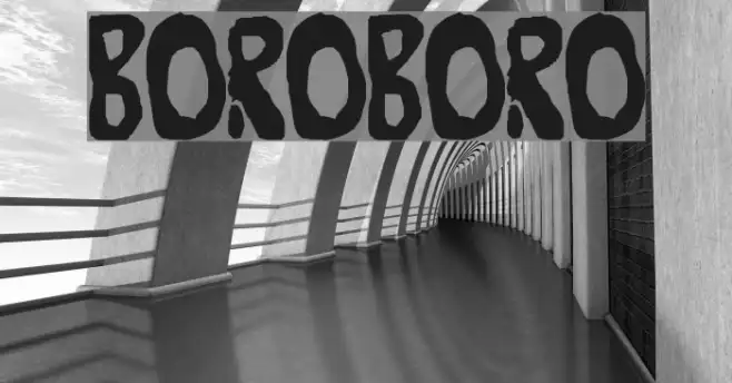 Boroboro Example 2