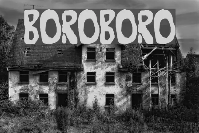 Boroboro Example 3