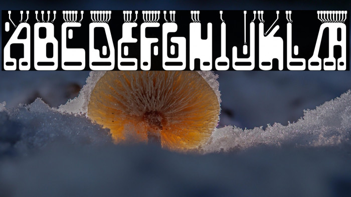 Boron-Regular Example 3