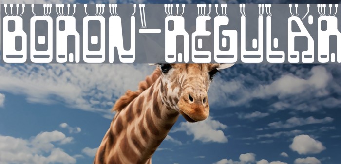 Boron-Regular Example 1