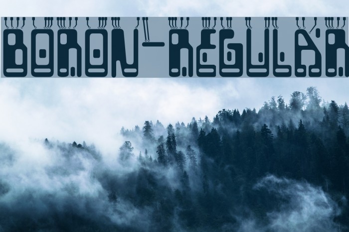 Boron-Regular Example 3