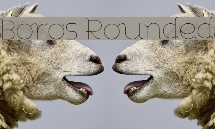 Boros Rounded Example 2