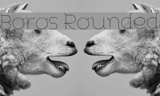 Boros Rounded Font examples