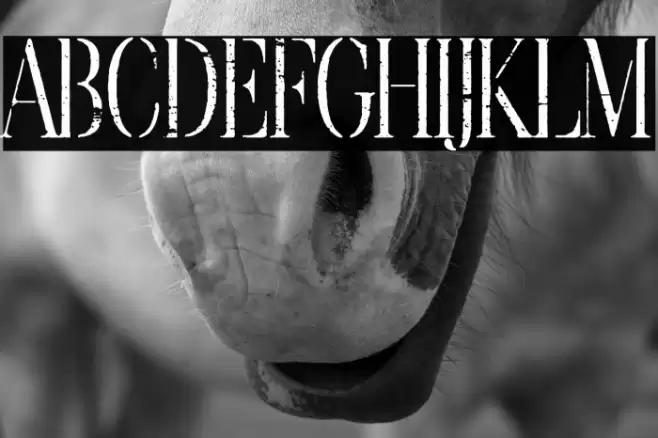 Borrachera Fina Font examples