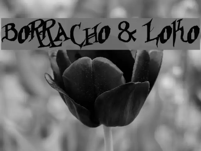 Borracho & Loko Font examples