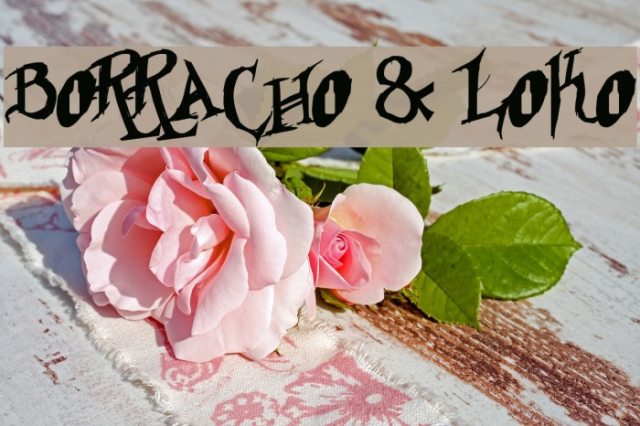 Borracho & Loko フォント examples