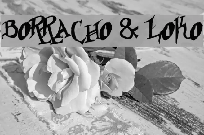 Borracho & Loko Font examples
