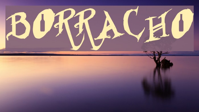 Borracho Font examples