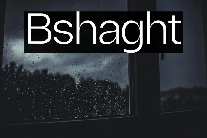 Borscha Light Example 1